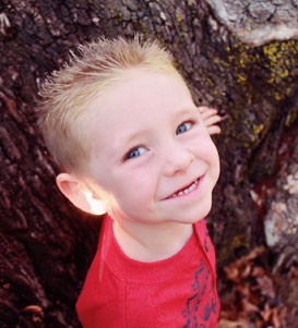 虚拟商品代理的ddos在线网页端